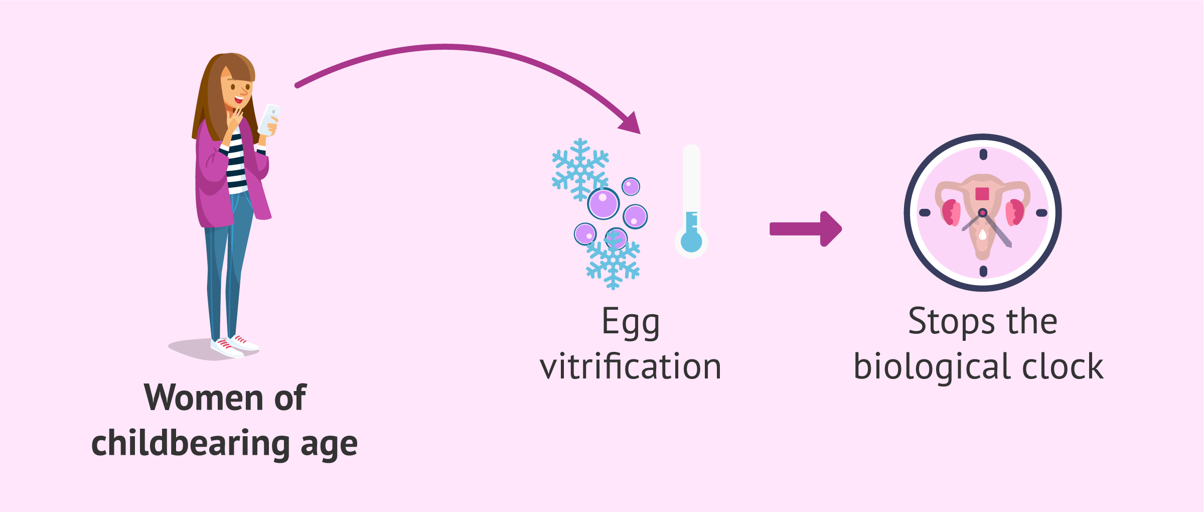 Imagen: Egg vitrification as an alternative to the biological clock