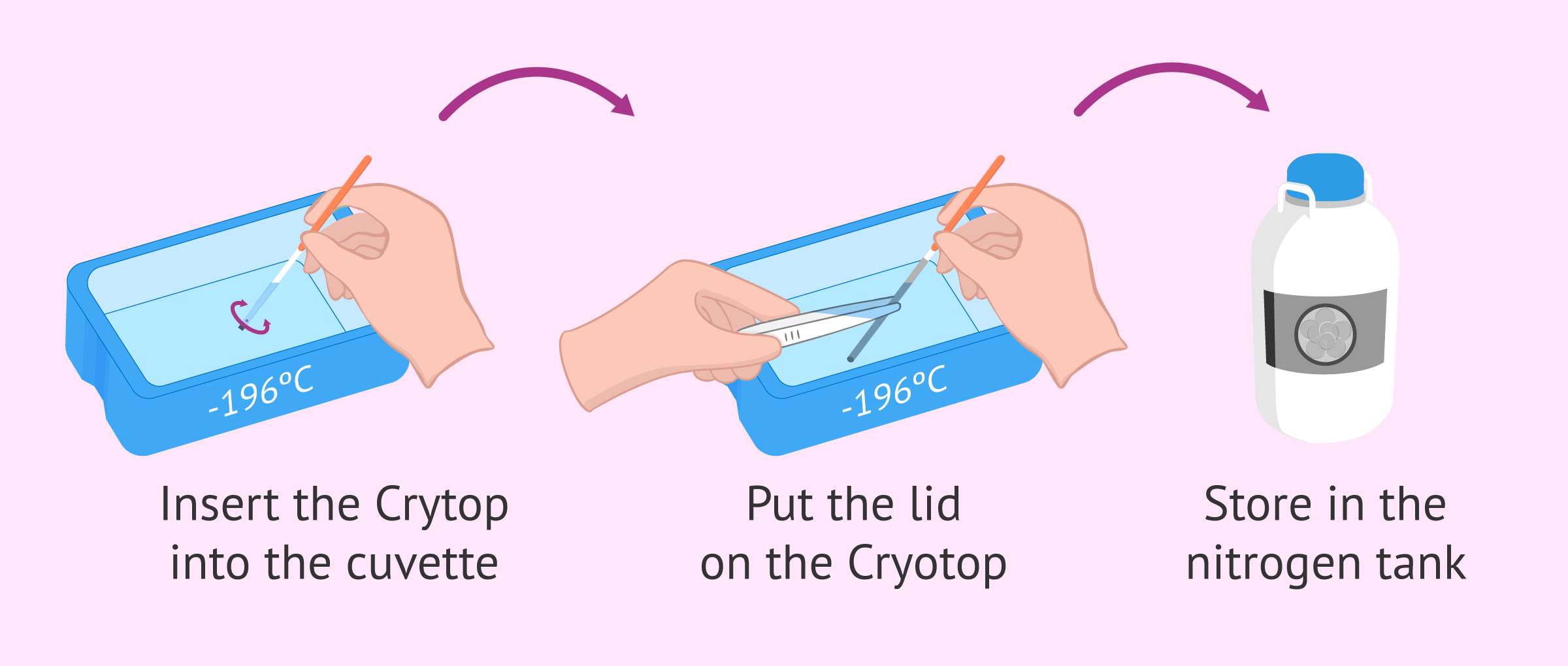 Introduction of Cryotop in liquid nitrogen