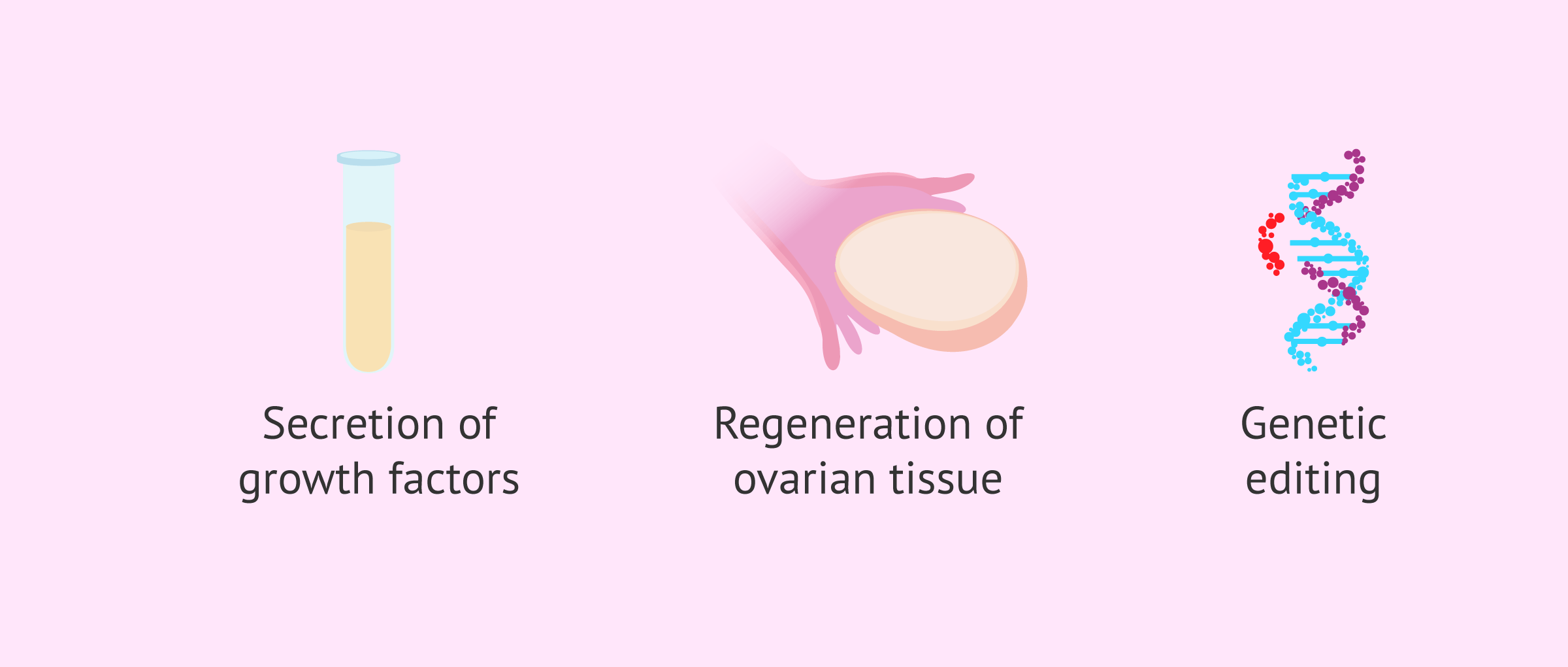 Imagen: Advances in assisted reproduction with stem cells and genetic editing