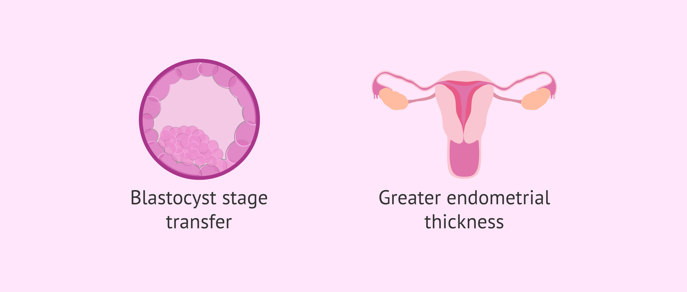 Imagen: Strategies for implantation failure