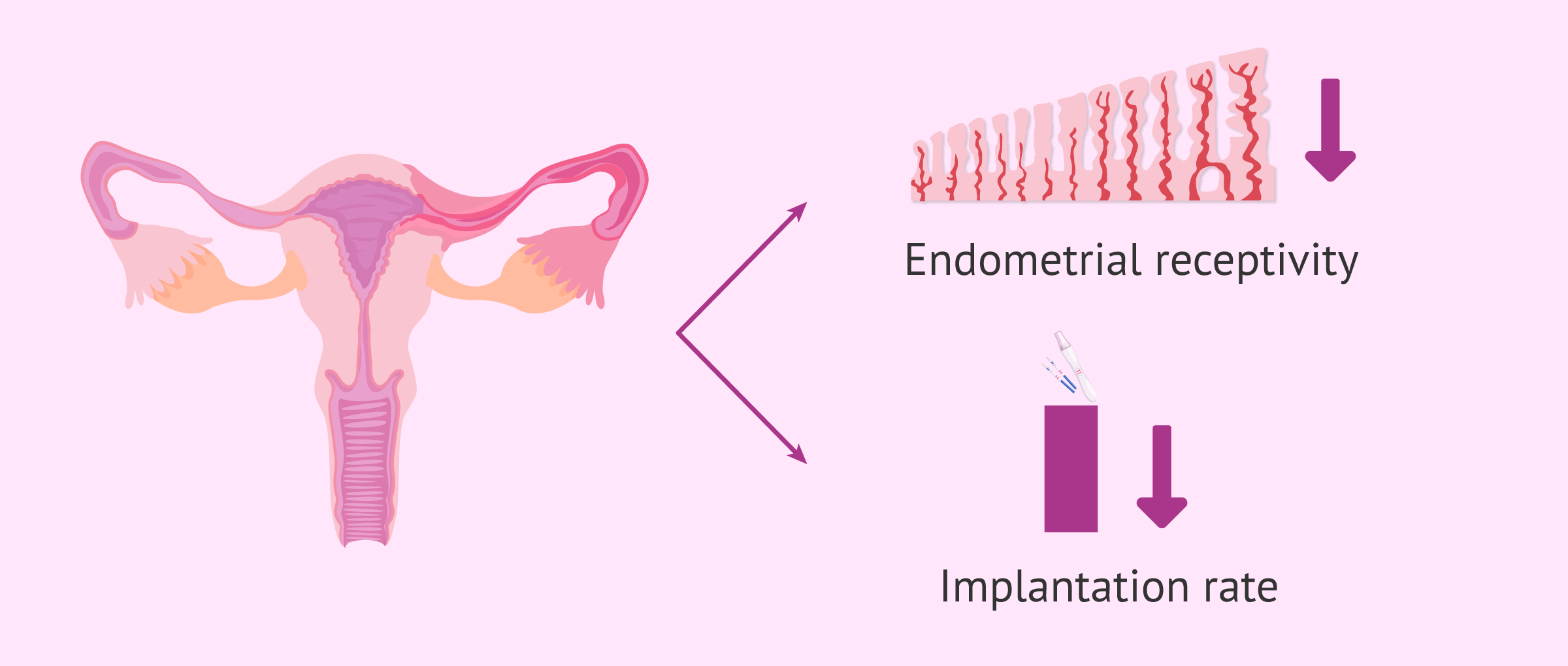 salpingitis-endometrial-receptivity-after-implantation