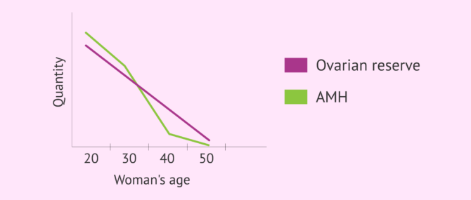 Imagen: amh-in-menopause