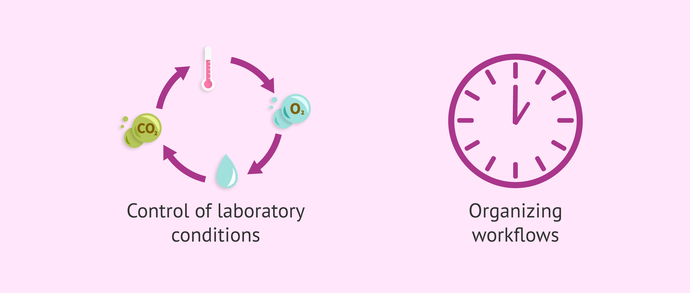 Imagen: Advances with artificial intelligence in the IVF laboratory