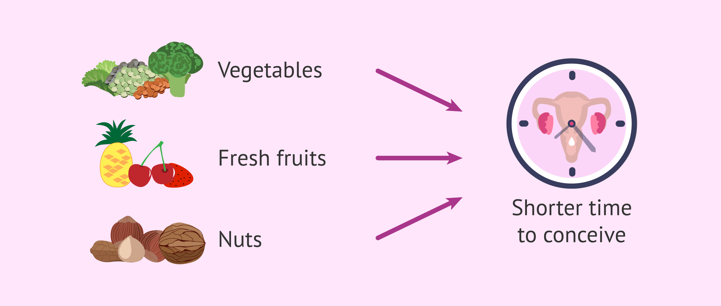 Nutrition and fertility: shortening the time to achieve pregnancy