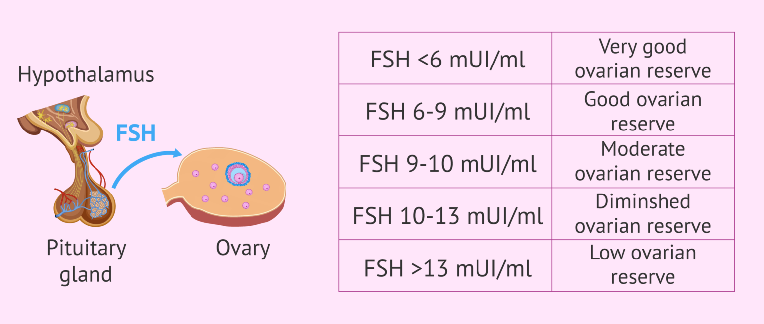 Relationship Between FSH Levels And Ovarian Reserve relationship-between-fsh-levels-and-ovarian-reserve