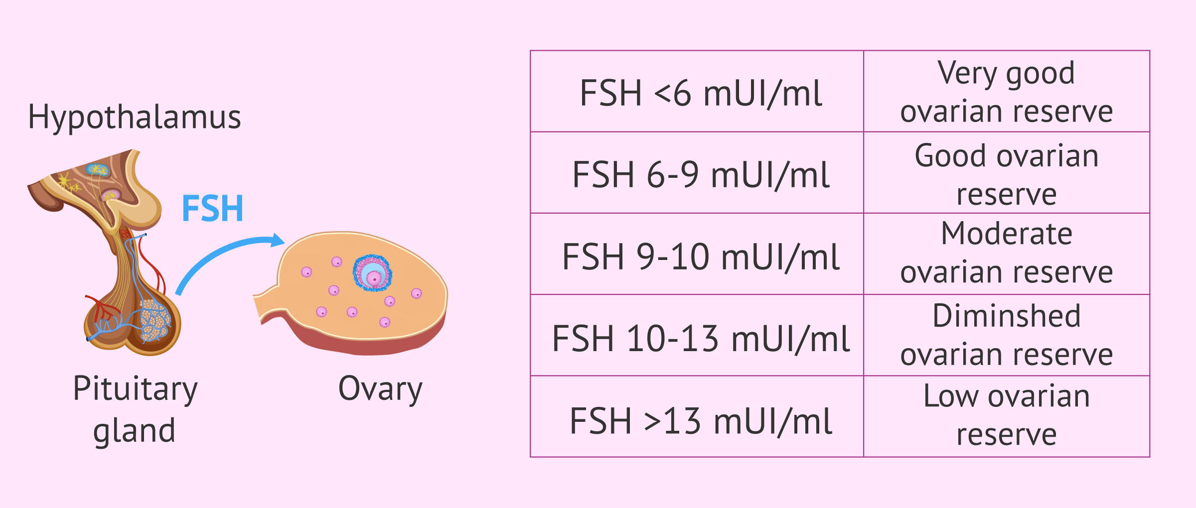 Relationship between FSH levels and ovarian reserve
