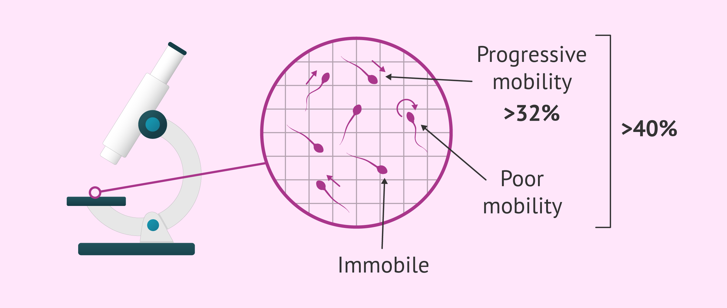 what-values-are-normal-in-sperm-motility-analysis
