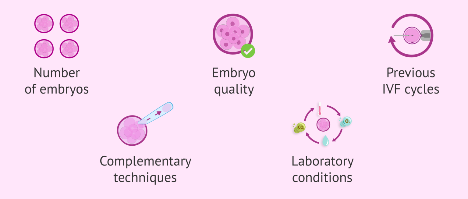 Day 5 vs. Day 3 Embryo Transfer - What Are the Pros & Cons?