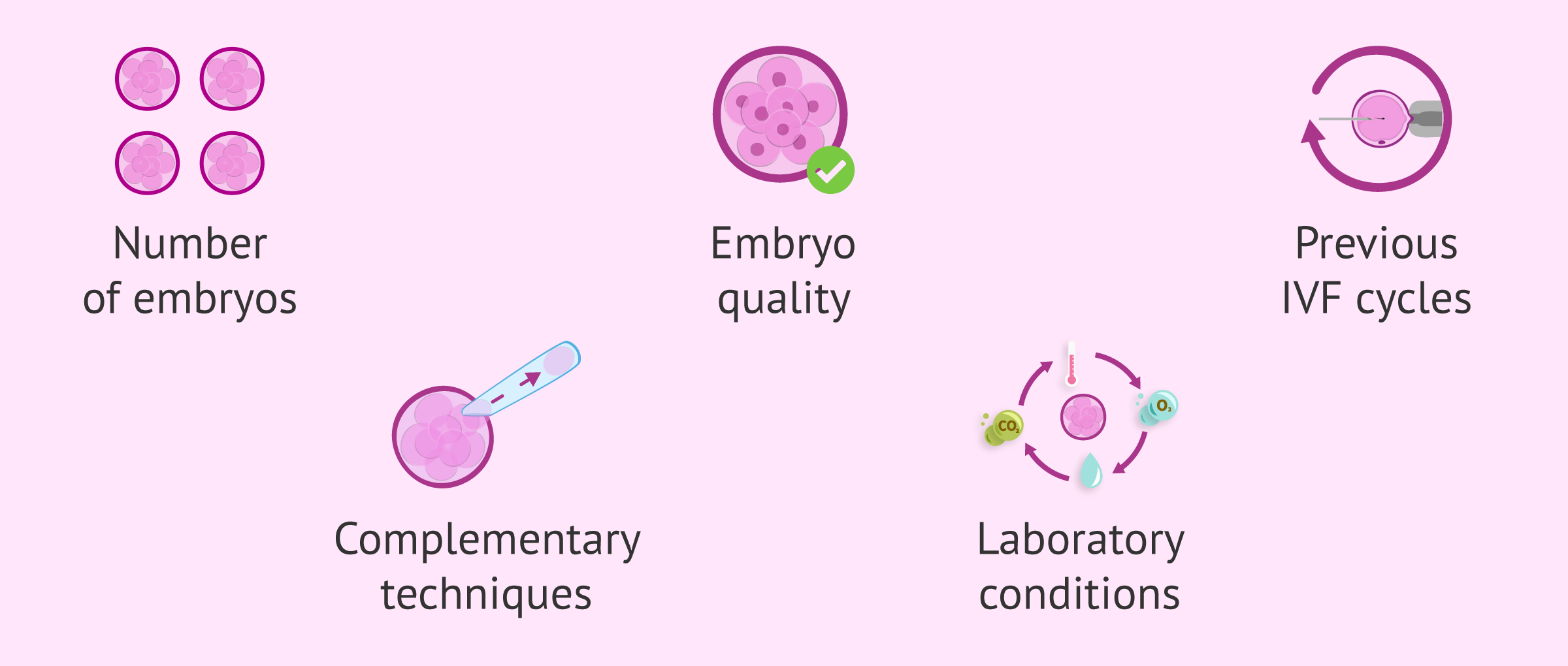 Personalising the timing of embryo transfer