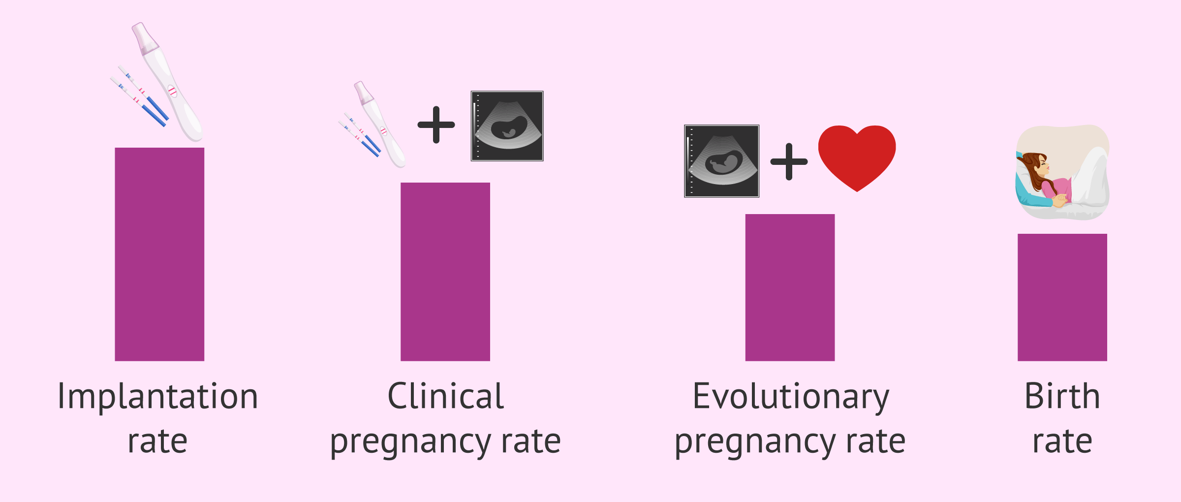 Imagen: Different success rates in assisted reproduction