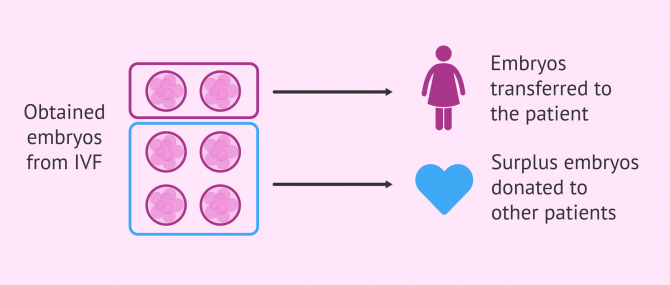 What is embryo donation and adoption and when is it recommended?