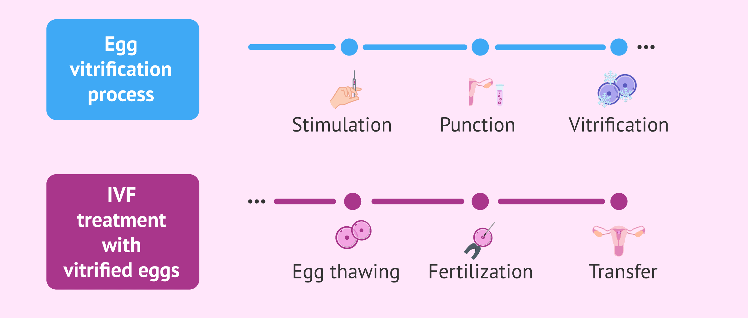 IVF Process With Frozen Eggs