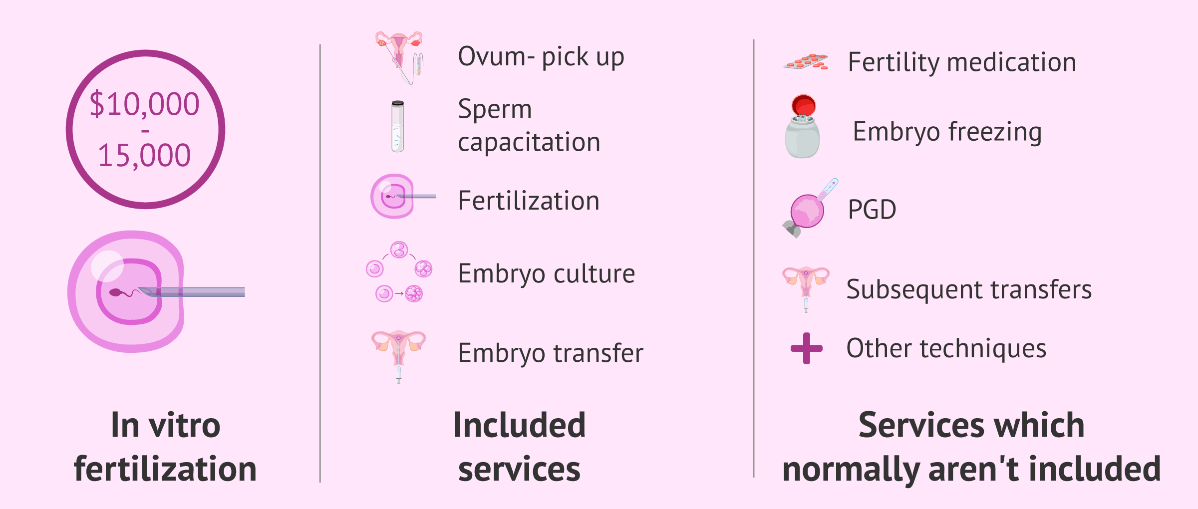 What Is the Average Cost of IVF In the USA?