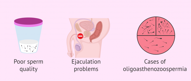 Imagen: Indications of AIH for male sterility