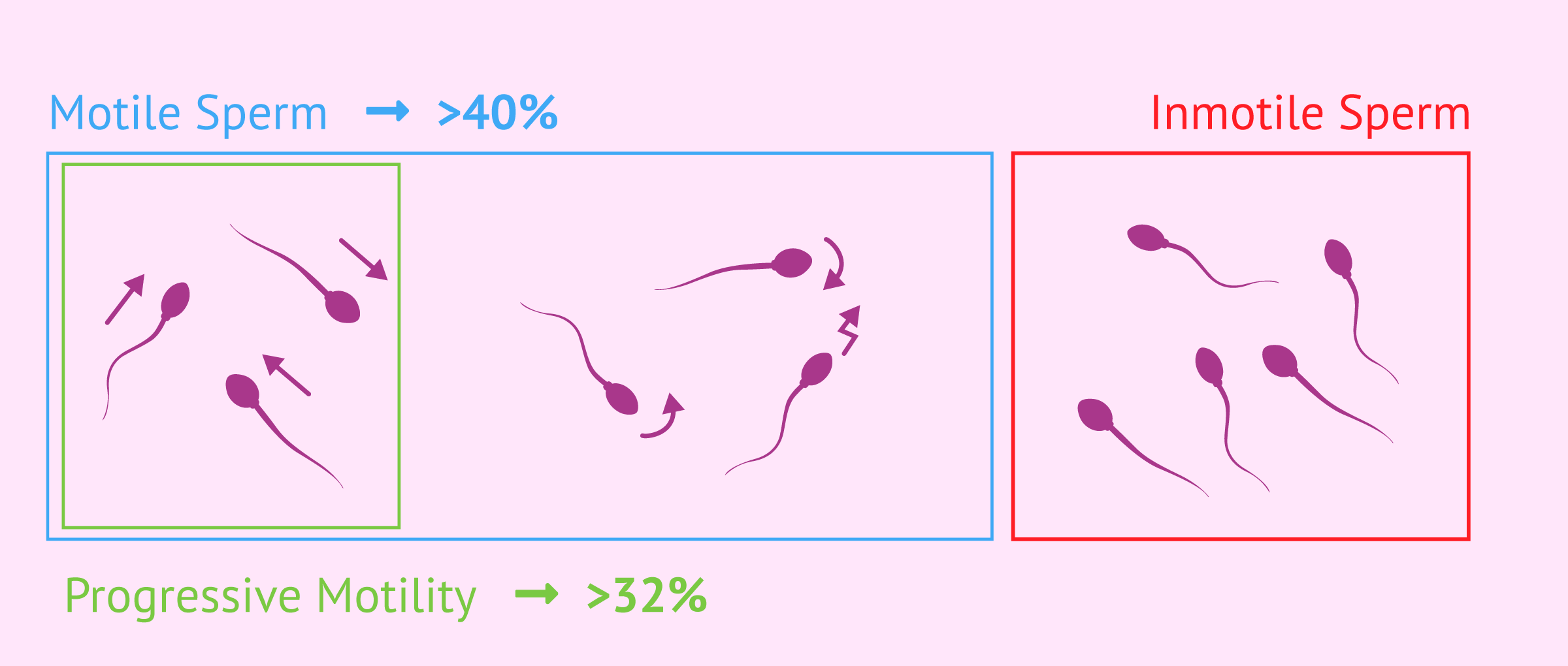 Motility Range Chart