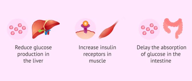 Imagen: Mechanism of action of metformin