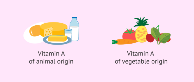 Imagen: Sources of vitamin A for pregnancy