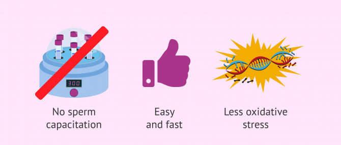 Imagen: What are the benefits of the Fertile Chip?
