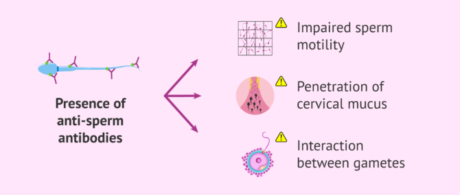 Imagen: Consequences of the presence of ESAs
