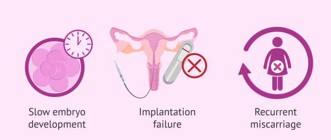 Imagen: When is the Fertile Chip indicated?