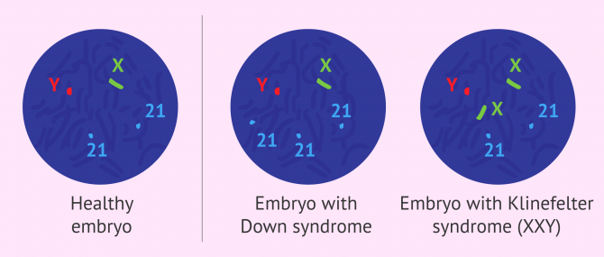 Imagen: FISH chromosome analysis