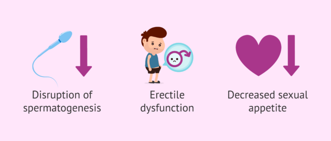 Imagen: Effects of stress on semen quality