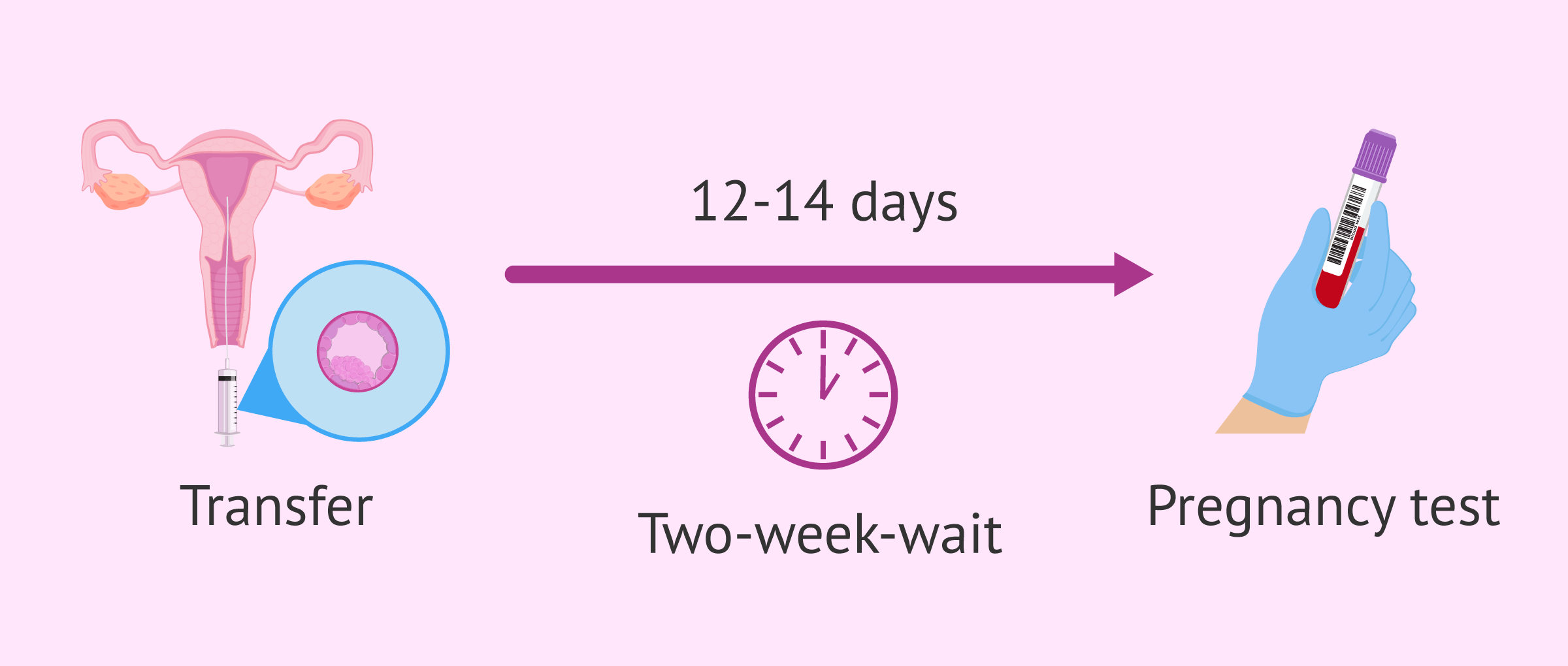 Two-week wait