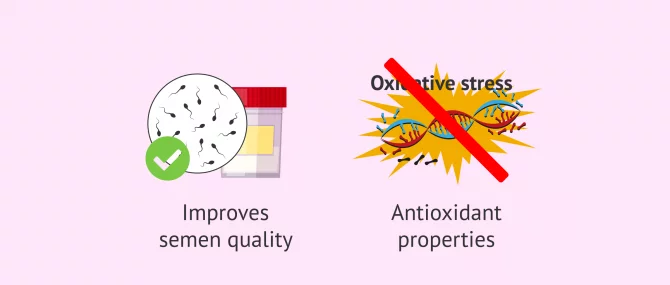 Androferti, an antioxidant food supplement for men