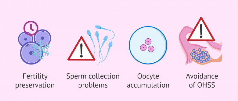 What is IVF with vitrified eggs and what are the results like?