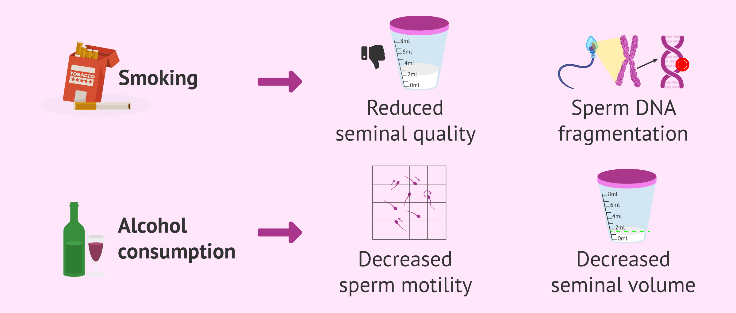 Imagen: Effect of tobacco and alcohol on semen quality