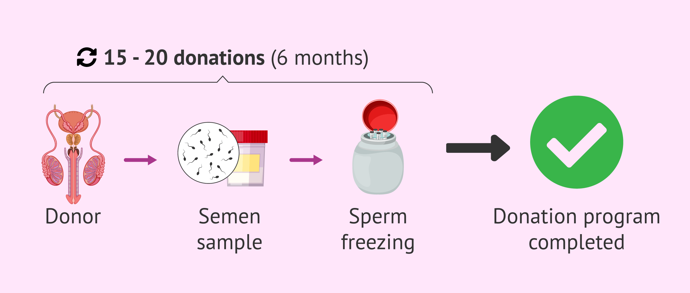 Donor sperm freezing process