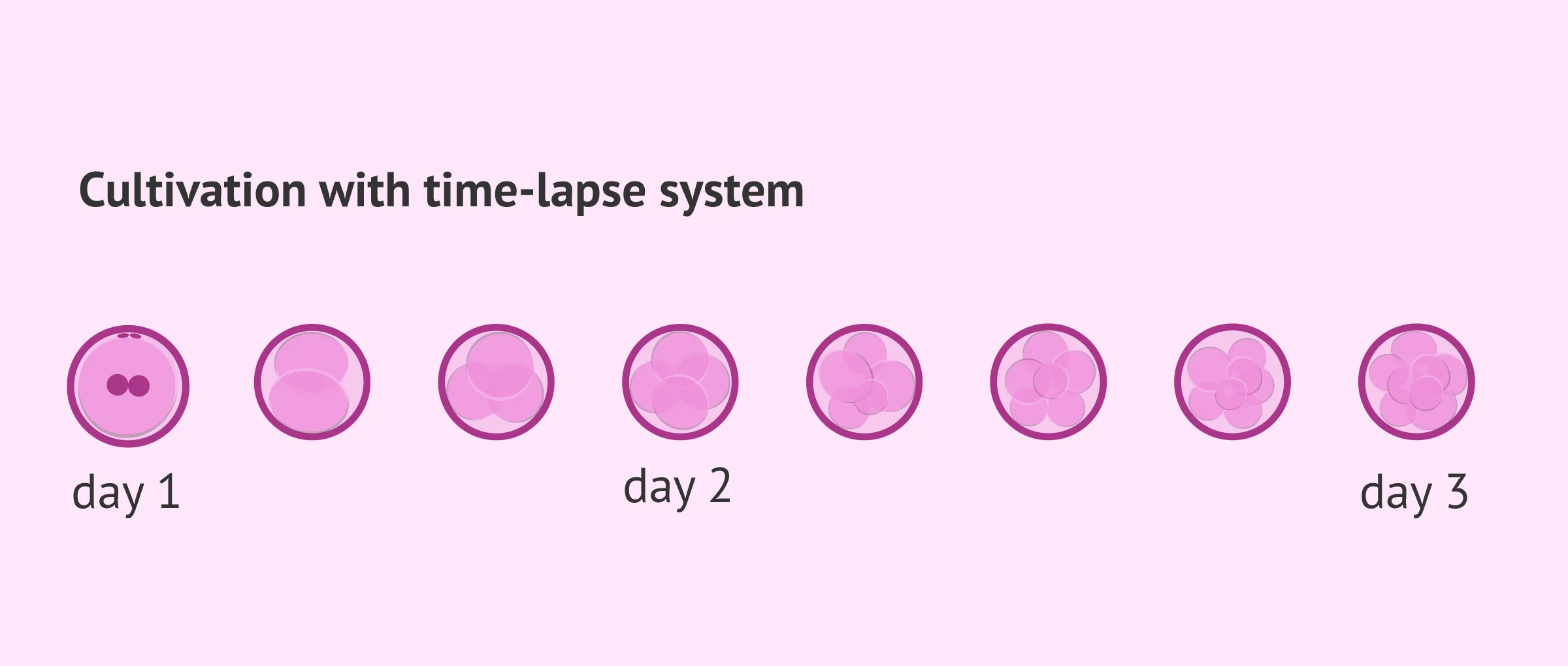 Imagen: Embryo selection with time-lapse
