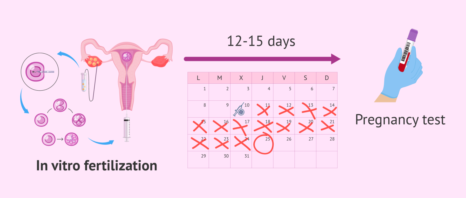 What to do while waiting for the IVF or two week wait result?