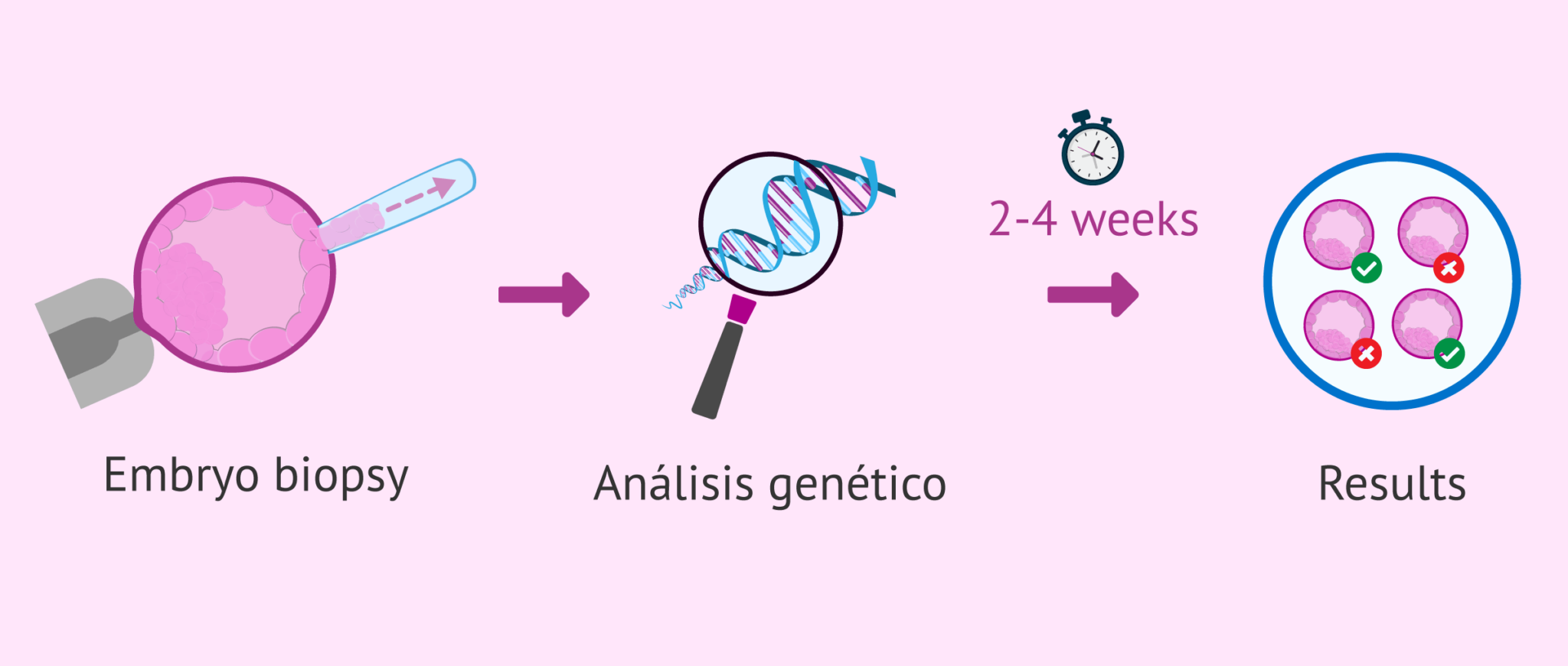 Pgd Process What is preimplantation genetic diagnosis or PGD?