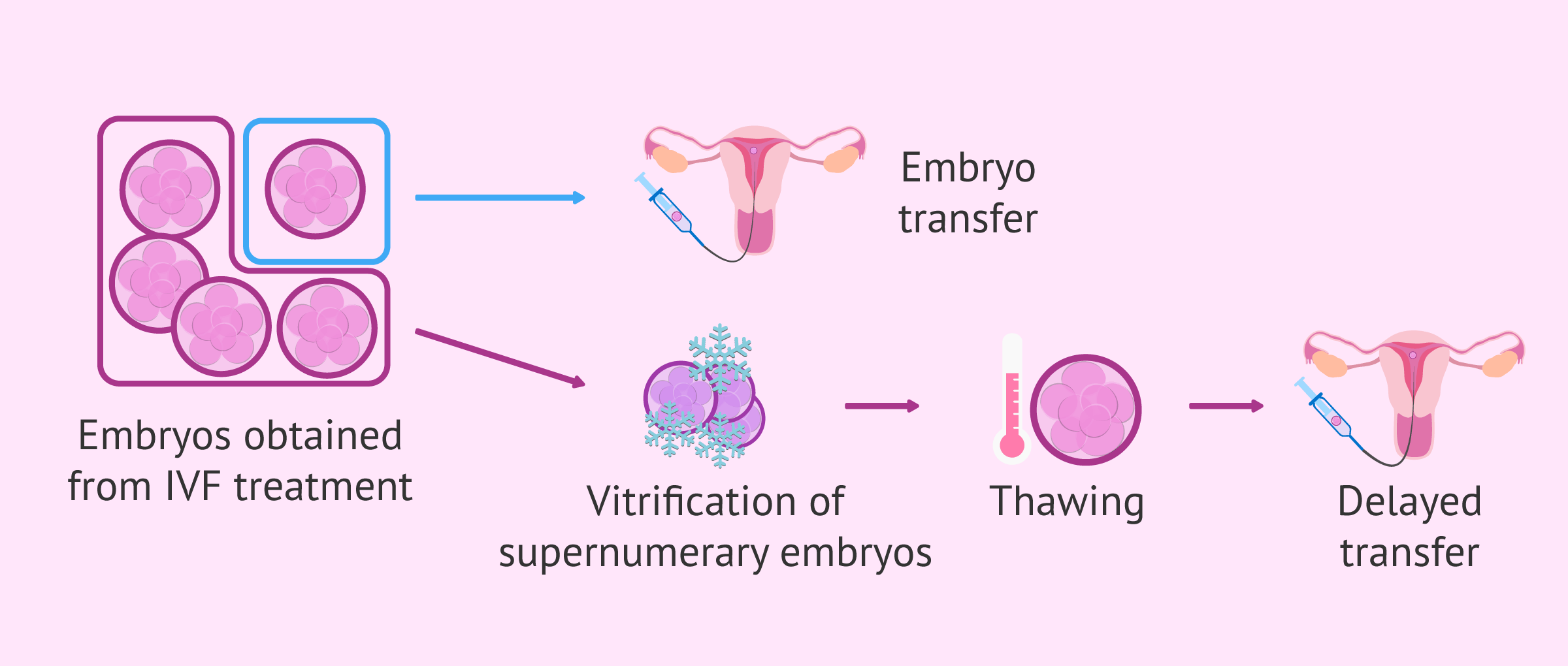 Future use of vitrified supernumerary embryos