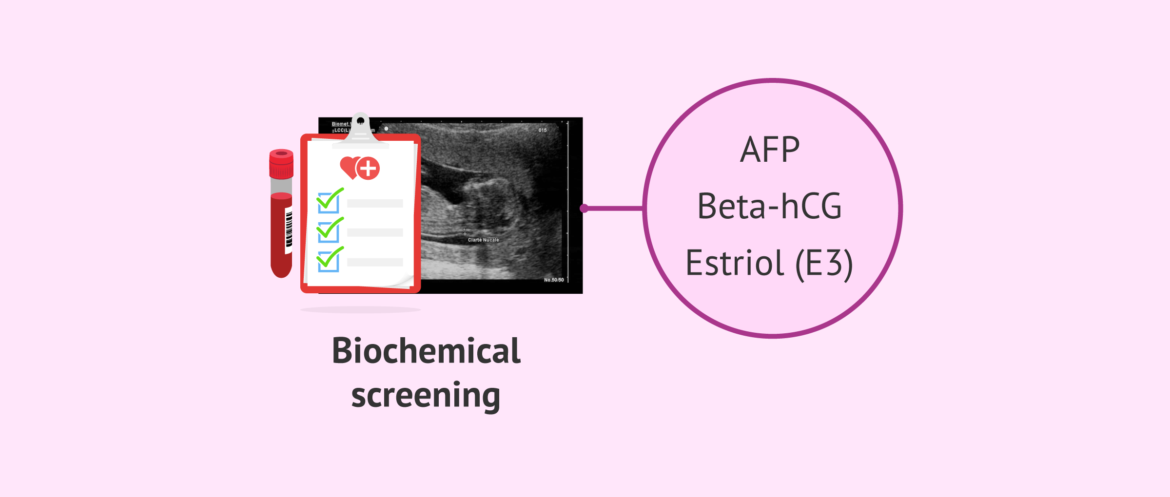 Imagen: Biochemical screening second trimester pregnancy