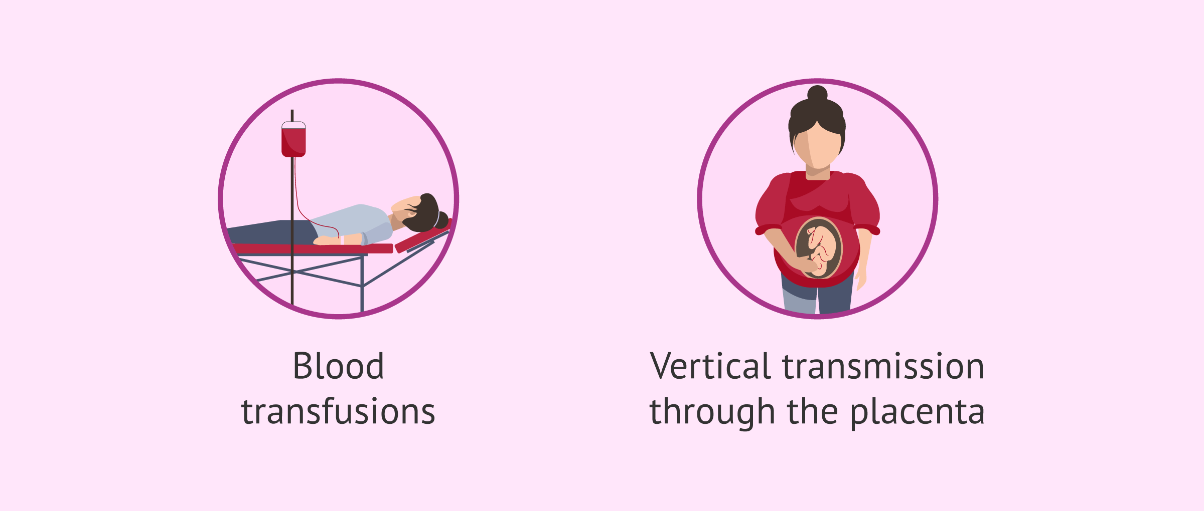 Imagen: Other routes of toxoplasmosis infection