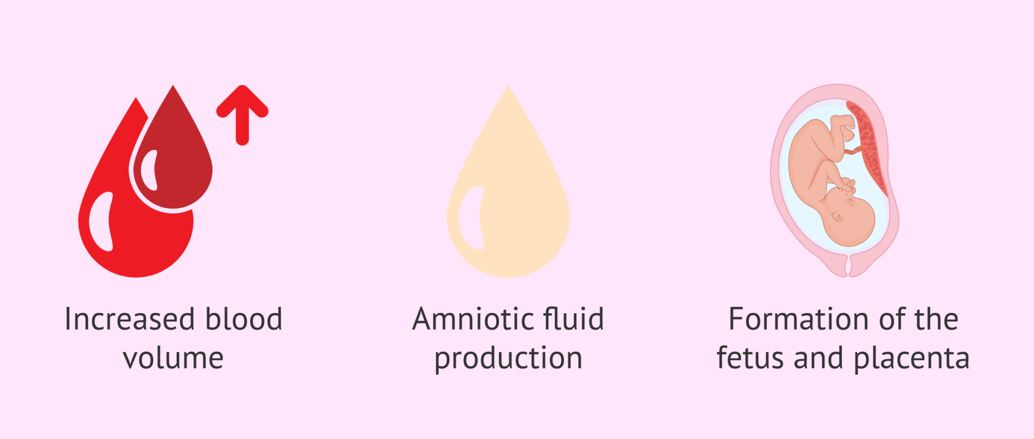 Is it necessary to drink more water during pregnancy and breastfeeding? Why?