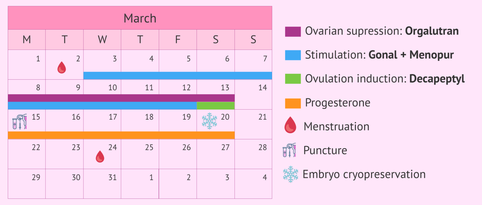 Hormone medication calender for short cycle ovarian stimulation