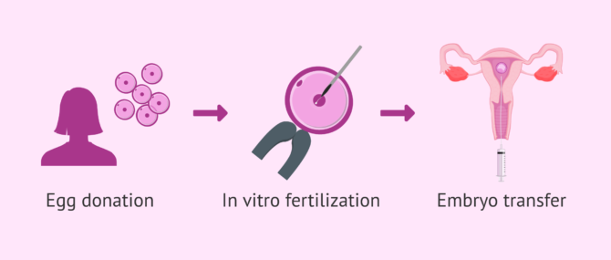 What is IVF with egg donation and how much does treatment cost?