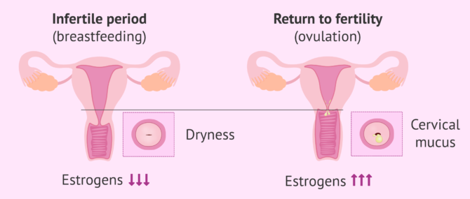Confirmed ovulation but still having clear stretchy fluid. Postpartum . :  r/FAMnNFP