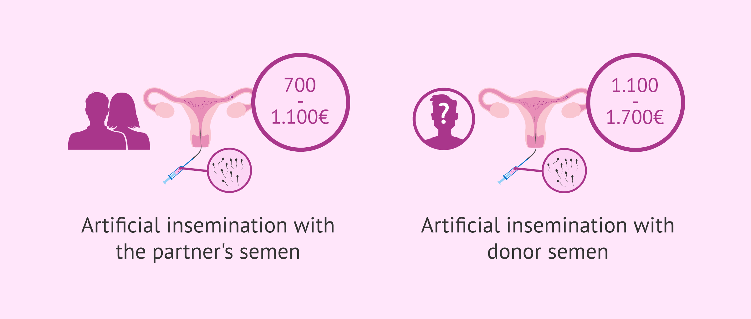 Imagen: Price of intrauterine artificial insemination in Spain