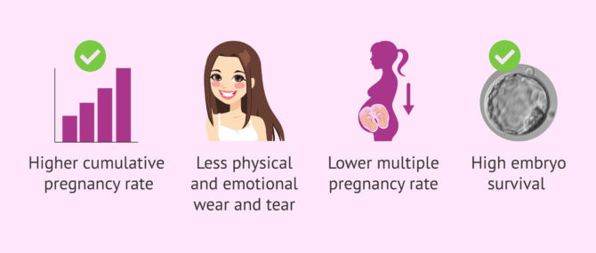 Imagen: Embryo vitrification benefits