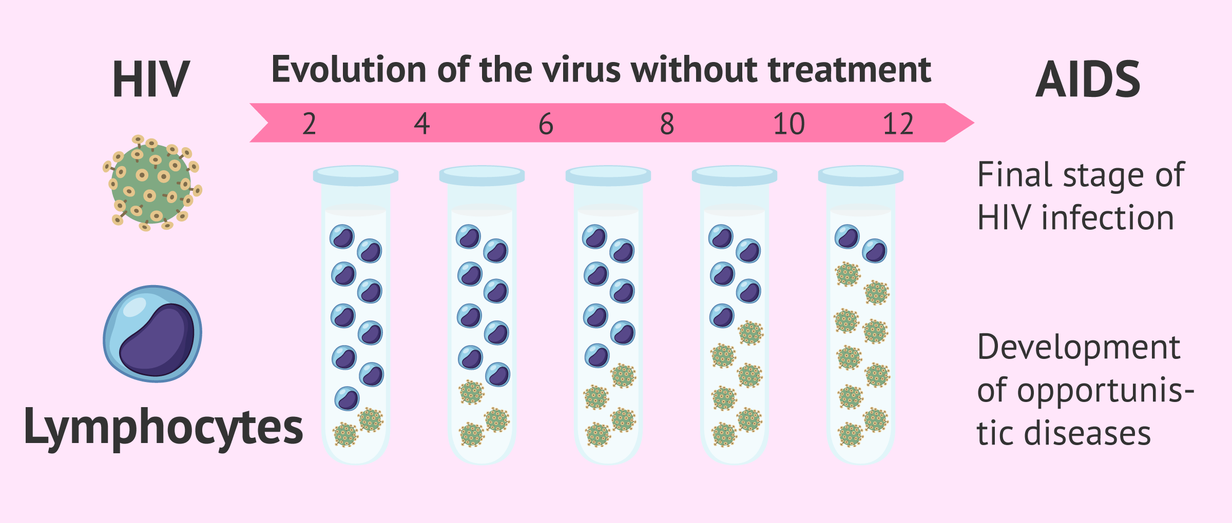 Progression Of Hiv To Aids