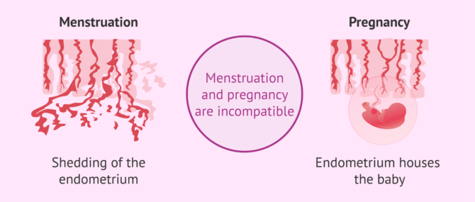 What Does Spotting Look Like? Menstruation, Implantation, Pregnancy