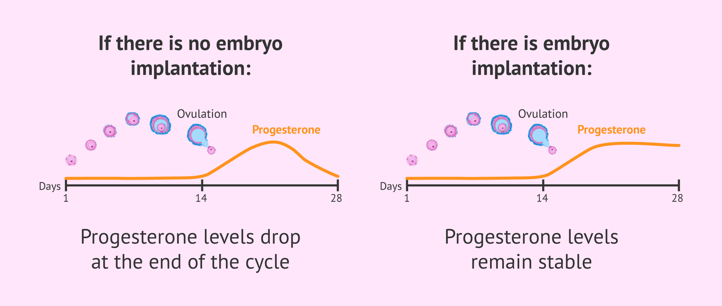 Changes in progesterone levels