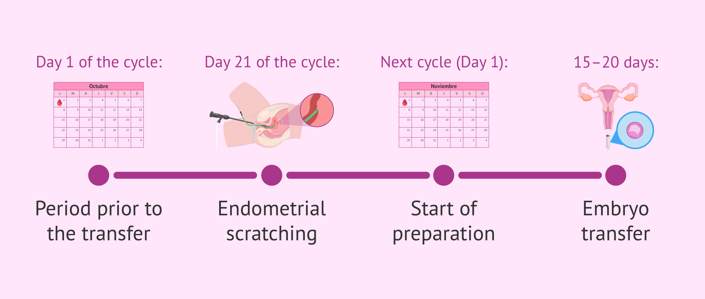 Imagen: Timing of the endometrial scratching