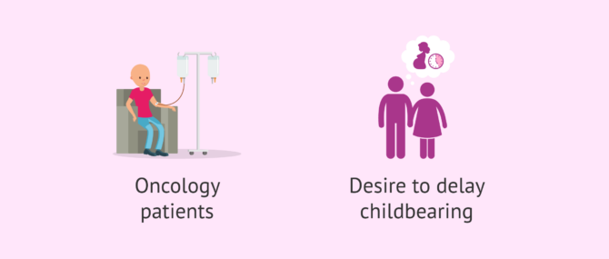 Imagen: Indications necessary to preserve fertility