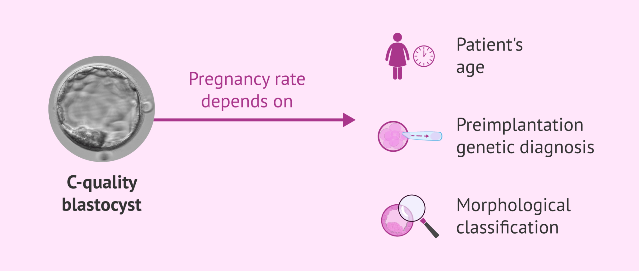 What is long embryo culture and blastocyst grading?