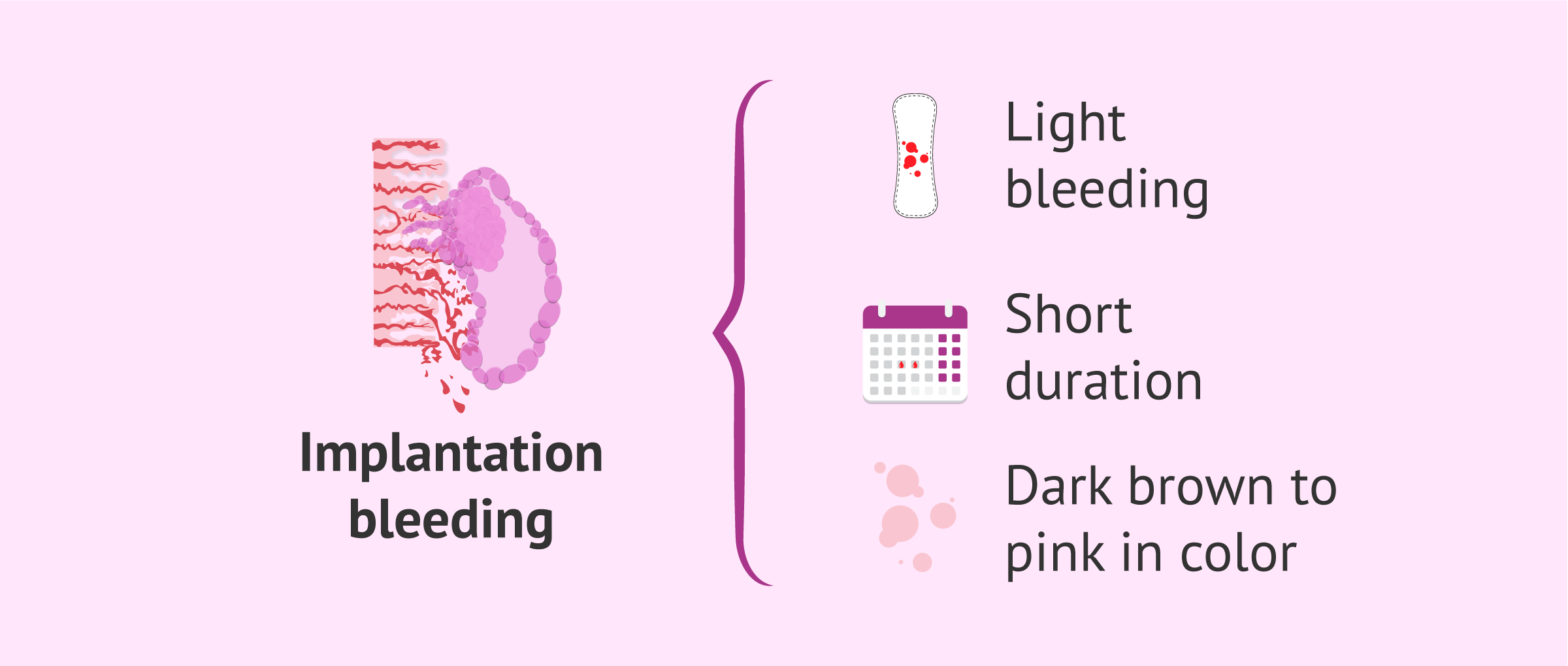 Imagen: Characteristics of implantation bleeding during the two-week wait